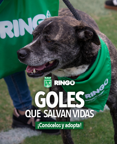 Banner goles que salvan vidas